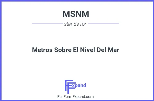 Full form of MSNM