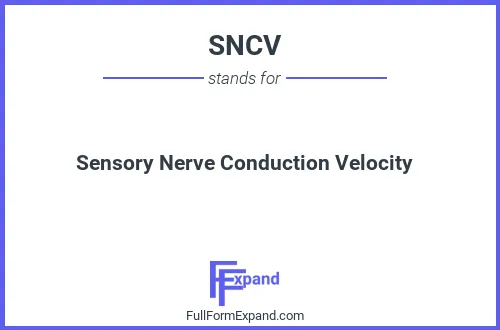 Full form of SNCV